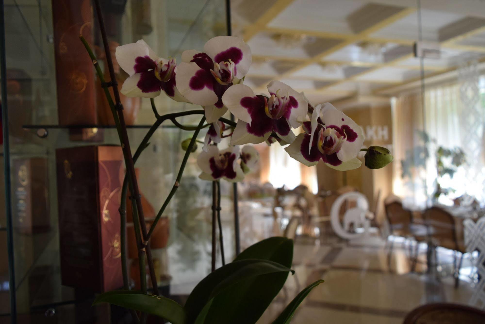 Artsakh Hotel Jerevan Eksteriør bilde